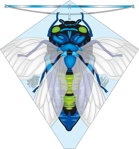Miniatura 4 de X Kites Buzz Kites® - Cometa de polietileno surtida