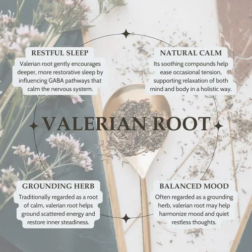 Miniatura 3 de Elanen Naturals Raíz de valeriana orgánica, 4 onzas (3.99 oz), té de hierbas de raíz de valeriana orgánica certificado por USDA, Te De Valeriana