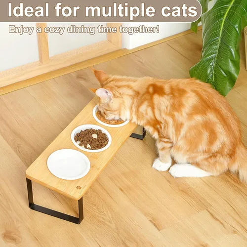 Miniatura 5 de Sunhoo Tazones Elevados para Comida y Agua de Gatos, Platos Inclinados Elevados para Gatitos, Juego de 3 Platos de Cerámica para Gatos