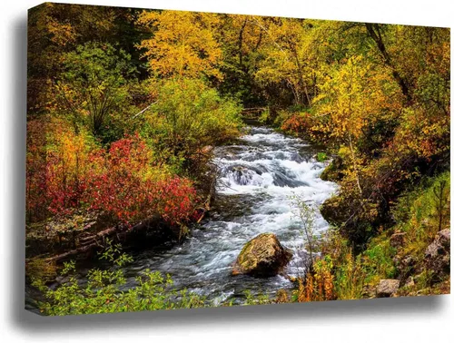 Black Hills Canvas Wall Art (Ready to Hang) Gallery Wrap of Fall Foliage Surrounding Creek on Autumn Day in Spearfish Canyon South Dakota Western