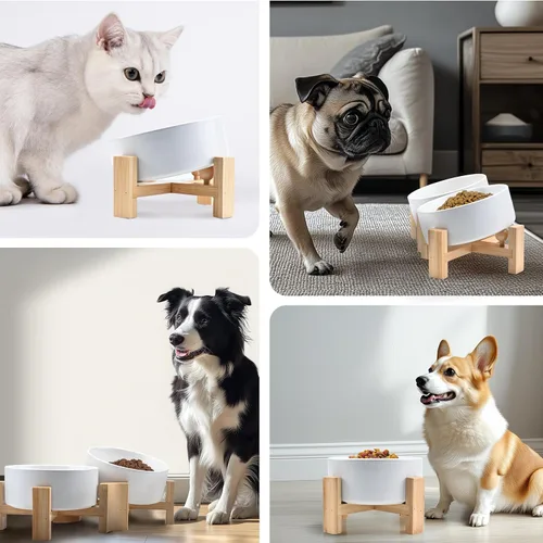 Miniatura 8 de SPUNKYJUNKY Cuenco de cerámica inclinado de 15° para perros y gatos con soporte de madera, cuenco inclinado para comida y agua para bulldog Blanco