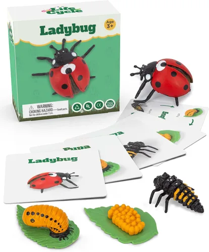 Miniatura 6 de Kit de ciclo vital Montessori - Juguetes de figuras realistas, animales de rana a juego de animales, rellenos de cesta de Pascua para niños