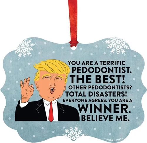 Miniatura 121 de Andaz Press Presidente Donald Trump Fancy Frame Recuerdo Adorno de Navidad Regalo de broma Ejecutivo de Cuenta, 1 paquete, Divertidas Ideas