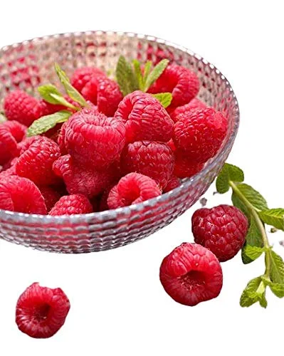 Fruta congelada fresca de Northwest Wild Foods - bayas silvestres orgánicas, naturales, para una dieta saludable y antioxidante. Ideal para batidos,