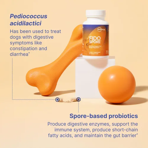 Miniatura 3 de Microbiome Labs Fidospore - Probióticos para perros para salud digestiva y apoyo inmunológico, probióticos para mascotas formadores de esporas