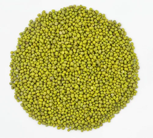 Frijoles mungo orgánicos secos enteros también conocidos como "Green Gram" "Maash" "Moong" prelavados, limpios y listos para cocinar, sin OMG