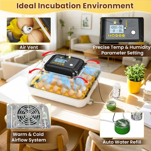 Miniatura 3 de Incubadoras para incubar huevos, incubadora de huevos de gallina con giro automático de huevos, fuente de alimentación doble, vela de huevos