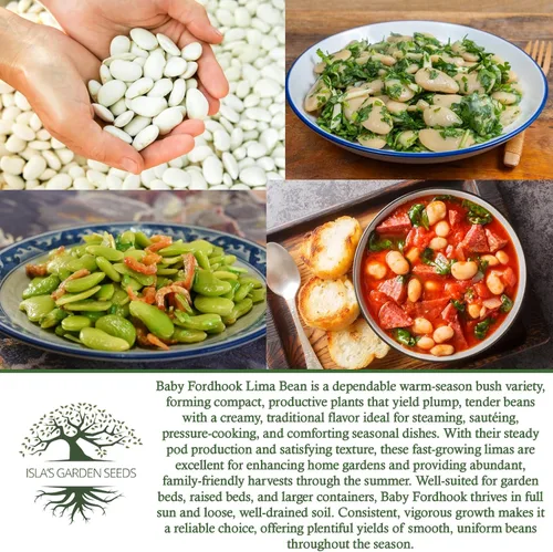 Miniatura 6 de Baby Fordhook - Semillas de frijol Lima para plantar, 25 semillas tradicionales por paquete, semillas de jardín de Isla