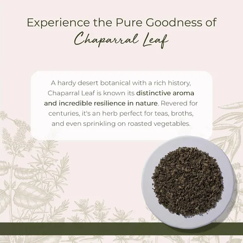 Miniatura 2 de Starwest Botanicals Wildcrafted Chaparral Leaf – Hierba seca de hojas sueltas para té, procedente de arbusto de creosota, cortada y tamizada