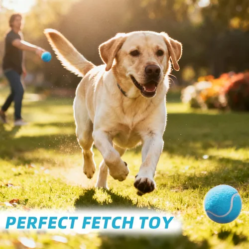 Miniatura 7 de PoyPet Paquete de 16 pelotas de tenis a granel para práctica, entrenamiento y principiantes, ideales para buscar perros, masticar y jugar