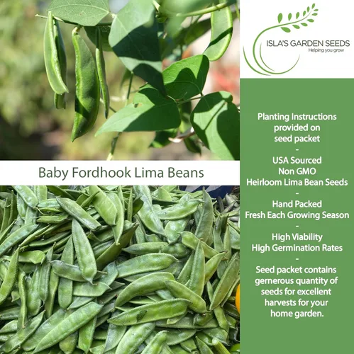 Miniatura 2 de Baby Fordhook - Semillas de frijol Lima para plantar, 25 semillas tradicionales por paquete, semillas de jardín de Isla