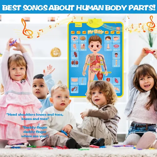 Miniatura 7 de My Body - Póster educativo interactivo para niños pequeños y niños para aprender partes del cuerpo, órganos, músculos y huesos, 16 x 22 pulgadas