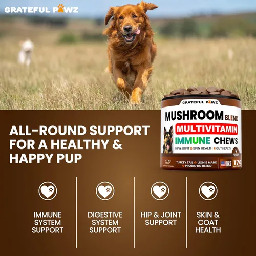 Miniatura 5 de Suplemento de hongo de cola de pavo para perros, 170 masticables, hongos para perros, Reishi, melena de león, multivitamínico de glucosamina