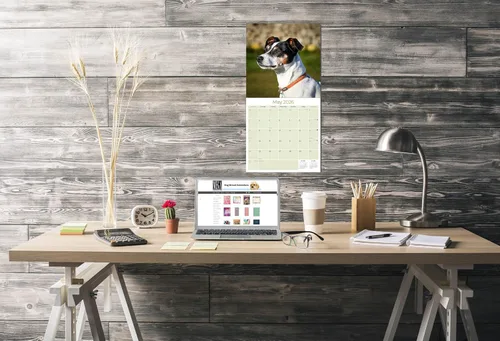 Miniatura 9 de Calendario de Rat Terrier 2025 2026 – Calendario mensual de pared de raza de perro – 12" x 24" abierto – Papel grueso que no se corre – Para regalo
