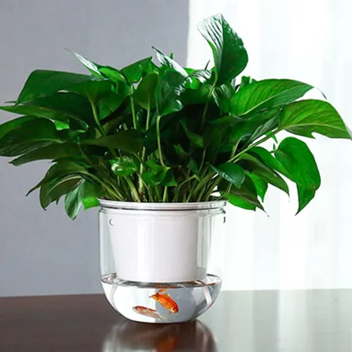 Miniatura 6 de GANAZONO Maceta colgante con riego automático, 2 unidades, diseño de drenaje de flujo de aire interior/exterior