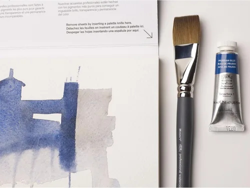 Miniatura 424 de Winsor & Newton - Pintura para acuarela profesional Tinte neutro