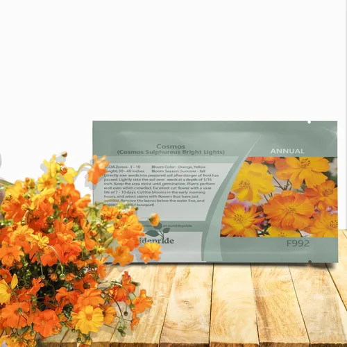 Outsidepride 2000 semillas anuales Cosmos Sulphureus Bright Lights Yellow Cut Flower Seeds para plantar