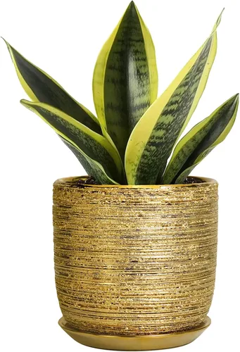 Miniatura 48 de Maceta de Cerámica para Plantas de Interior de 5 Pulgadas - Maceta Redonda para Plantas Suculentas con Agujero de Drenaje y Platillo, Decoración