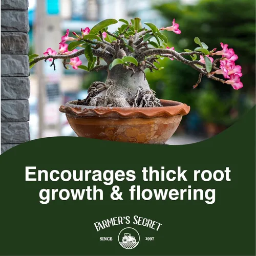 Miniatura 5 de Fertilizante Líquido para Plantas Desert Rose de Farmer's Secret (8 onzas) - Súper Concentrado - Promueve la Floración y el Crecimiento del Tronco