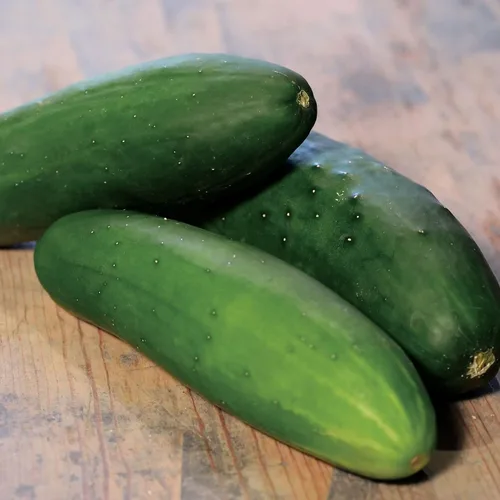 Miniatura 4 de Park Seed Variedad de semillas de pepino, plantación de pepinos, semillas de verduras, fáciles de cultivar, sin OMG, perfectas para cosechar, ocho