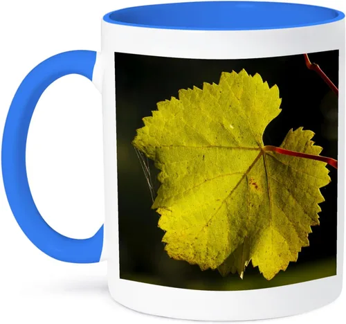 Miniatura 10 de 3dRose Estados Unidos, Oregon, Keizer, Pinot Gris hoja de viñedo - US38 RBR0742 - Rick A Brown 11oz taza negra de dos tonos