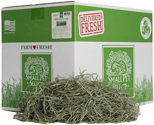 Miniatura 9 de Small Pet Select Orchard Grass Hay - Alimento para mascotas para conejos, cobayas, chinchillas y otros animales pequeños, heno natural premium