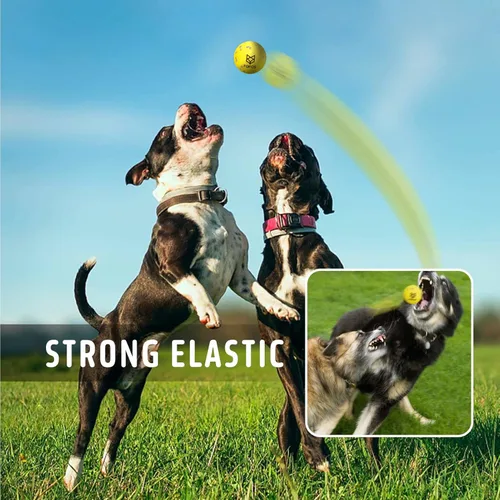 Miniatura 5 de FOFOS Pelotas para perros, juguetes masticables, pelota de tenis para masticadores agresivos, juguetes molares, juguete acuático, bolas Amarillo