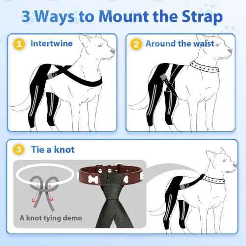 Miniatura 6 de Rodillera doble para perro para pierna trasera desgarrada, soporte doble para pierna trasera de perro para apoyo, soporte de resorte de metal duro