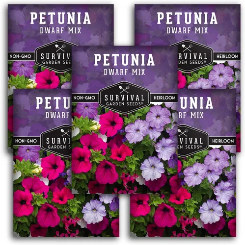 Miniatura 12 de Mezcla de semillas de petunia enana para plantar, planta y cultiva flores coloridas para atraer polinizadores al jardín de tu hogar, variedad