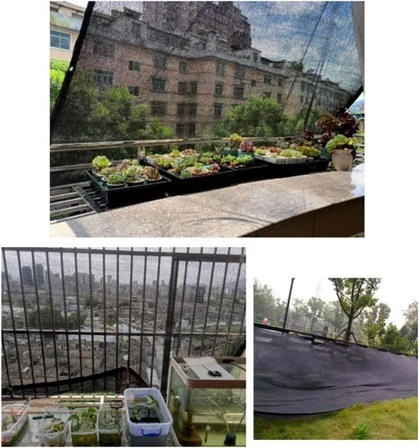 Miniatura 8 de Tela de sombra para plantas suculentas, tela de malla transpirable resistente a los rayos UV, tasa de sombra del 50% al 60%, red de sombra