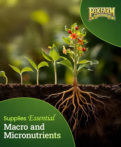 Miniatura 6 de FoxFarm Bushdoctor Kangaroots - Líquido para remojar raíces - Inoculante de raíces para desarrollar masa radicular, lleno de microbios y nutrientes