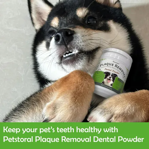 Miniatura 8 de Petstoral Polvo dental natural para perros, cuidado dental para perros, removedor de placa y tratamiento para el mal aliento, encías saludables