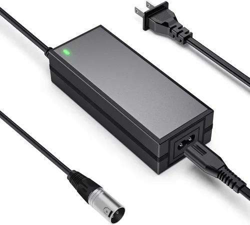 24V 2A Cargador de batería para scooter eléctrico, adecuado para Go Go Elite Traveler, Pride Mobility, batería de silla eléctrica Jazzy y Plus Ezip