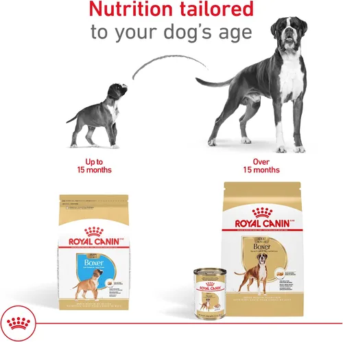Miniatura 7 de Royal Canin Breed Health Nutrition Boxer - Alimento seco para perros, bolsa de 30 libras