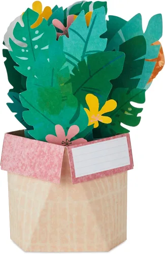 Miniatura 3 de Hallmark Paper Wonder Shoebox Golden Girls - Tarjeta desplegable (Thank You for Being a Friend)