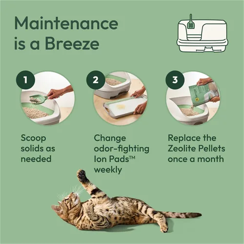 Miniatura 6 de Purina Tidy Cats - Sistema de arena para gatos, Breeze XL todo en uno con control de olores y fácil de limpiar, no aglutinante, caja de 18 libras