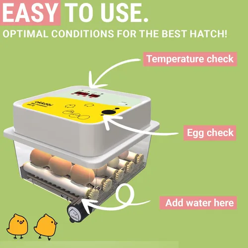 Miniatura 2 de OBI-12 Incubadoras de huevos para incubar huevos - Incubadora para 12 huevos con girador automático de huevos - criador para huevos de gallina
