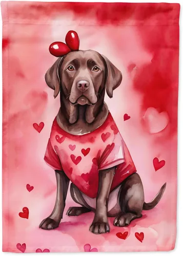 Miniatura 33 de Caroline's Treasures DAC5292CHF - Bandera de Border Collie My Valentine House para porche, grande, con manga para porche, para colgar en la pared