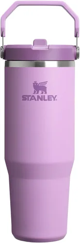 Miniatura 37 de Stanley IceFlow - Vaso con pajilla abatible con asa, de 20 onzas, tapa giratoria y popote abatible, botella de agua resistente a fugas, acero