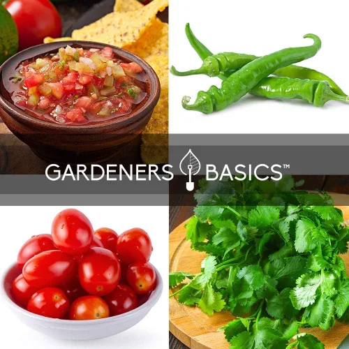 Miniatura 5 de Gardeners Basics, Paquetes de semillas de cultivo de salsa reliquia, semillas de tomate Roma VF, jalapeño, cilantro, anaheim y cebolla para jardín