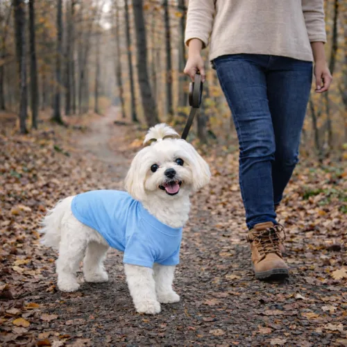 Miniatura 8 de Lovelonglong 2019 - Ropa para mascotas, Disfraces para Perro, Ropa Camisetas en blanco para Perros Grande Medianos Pequeños 100% Algodón 18