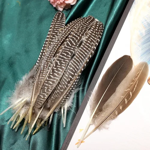 Miniatura 8 de THARAHT 24 plumas naturales manchadas de 4 estilos de plumas de ave de Guinea de 6 a 8 pulgadas a granel para manualidades, ropa, joyería