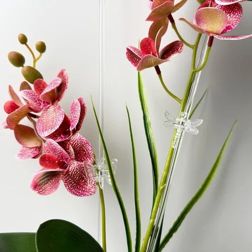 Miniatura 3 de 30 estacas acrílicas para plantas de jardín de un solo tallo para plantas, estacas transparentes para orquídeas y 30 clips de soporte para plantas