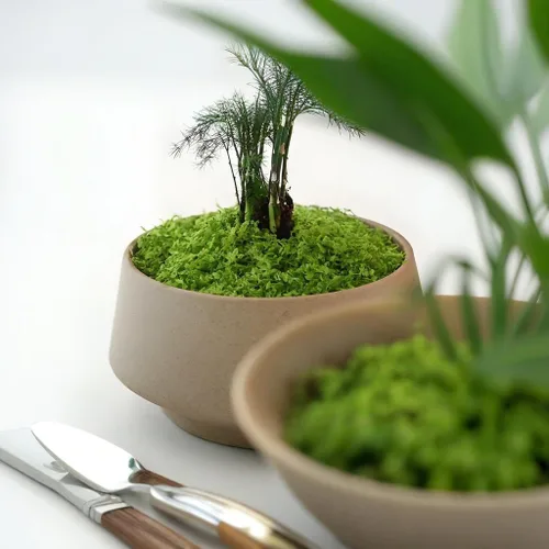 Miniatura 6 de Musgo verde claro falso para plantas en maceta, 3.5 onzas, musgo sintético artificial para manualidades, musgo preservado para bricolaje, centros