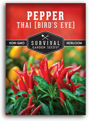 Semillas de chile tailandés para plantar | Pimientos picantes de ojo de pájaro – Chile picante sin OMG para cocina picante y jardines en