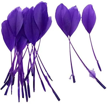 Goose Feather Craft 6-8 pulgadas (5.9-7.9 in) (morado)