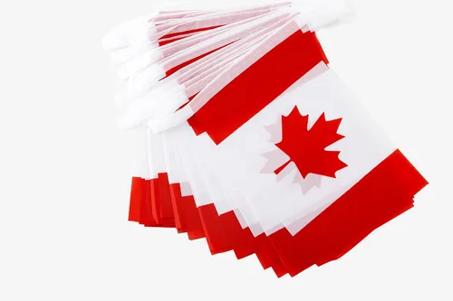 Miniatura 3 de Bandera de Canadá, bandera canadiense, 100 pies/76 unidades de banderines nacionales del mundo del país, suministros de decoración de fiesta