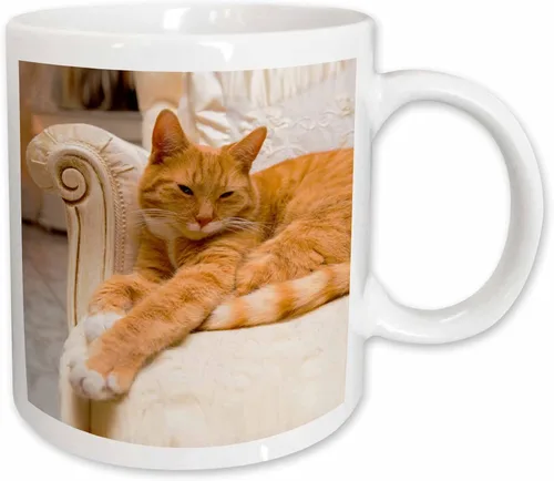 Miniatura 12 de 3D Rose Happy Orange Tabby Cat Relaxing on Fancy Armchair - Taza de cerámica de dos tonos, color negro
