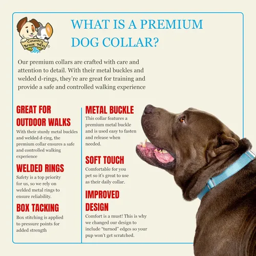 Miniatura 4 de Country Brook Petz – Collar de nailon premium para perro con hebilla de metal – Vibrante selección de 25 colores, Azul Océano