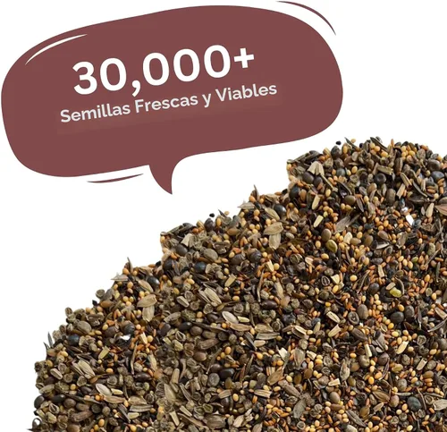 Miniatura 4 de Mix de semillas de flores silvestres para mariposas y colibríes – Más de 30.000 semillas – Paquete extra grande a granel resellable de 1 oz